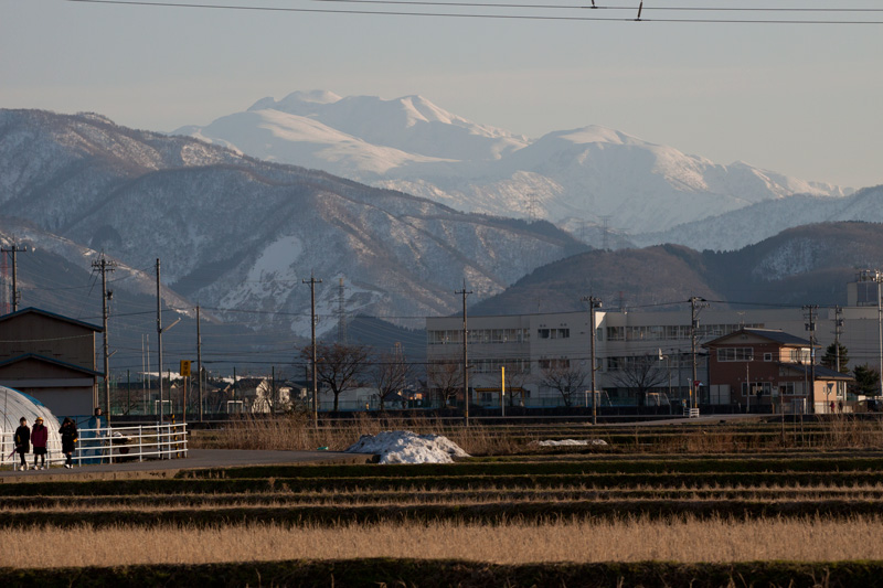 b0177233_5314288.jpg