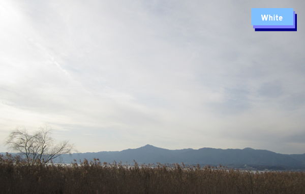 c0227134_23301737.jpg