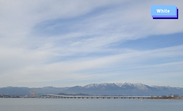 c0227134_23323577.jpg