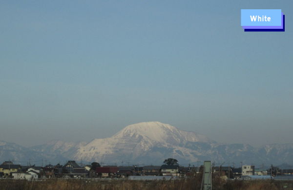 c0227134_23334490.jpg