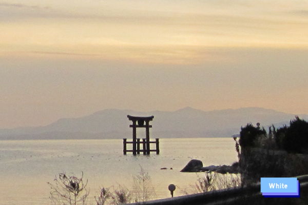 c0227134_23391880.jpg