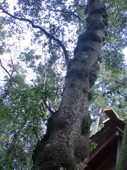 c0176338_23311439.jpg