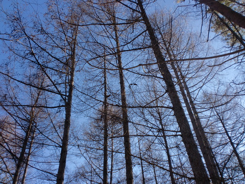 c0176338_23342143.jpg