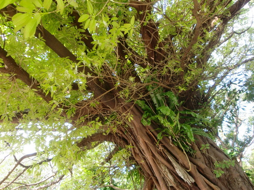 c0176338_23361468.jpg