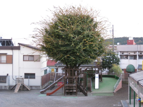 c0176338_23435357.jpg