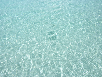 f0190653_15401612.jpg