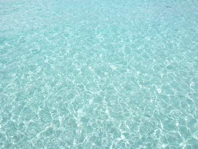 f0190653_16555136.jpg