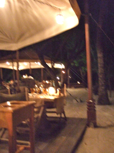 f0190653_1711239.jpg