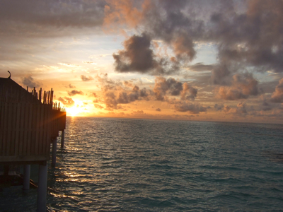 f0190653_1733676.jpg