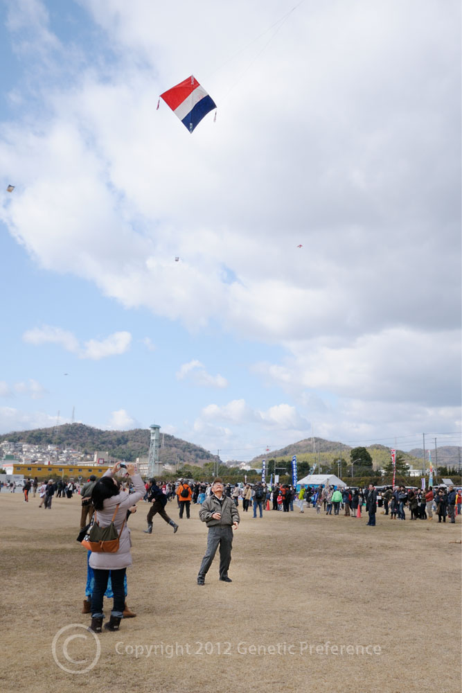 a0111162_19135351.jpg