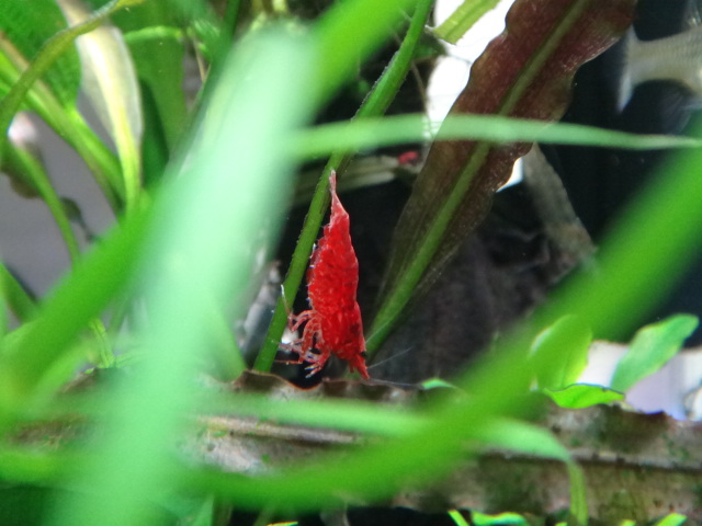 c0225669_21382364.jpg