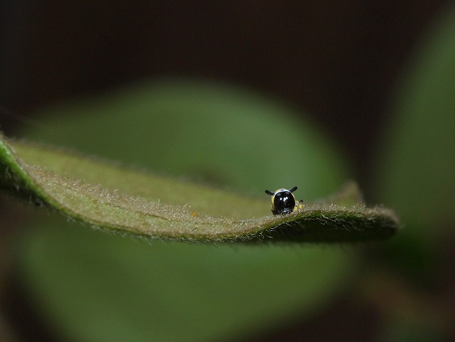 b0135573_2342359.jpg