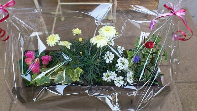d0158780_9355518.jpg