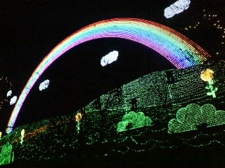 c0096582_15352499.jpg