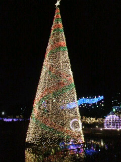 c0096582_15391483.jpg