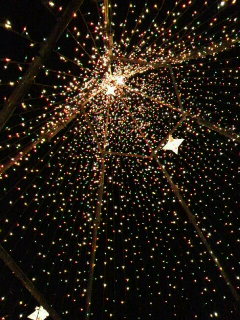 c0096582_15405589.jpg