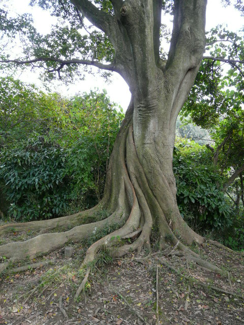 e0145782_15363798.jpg