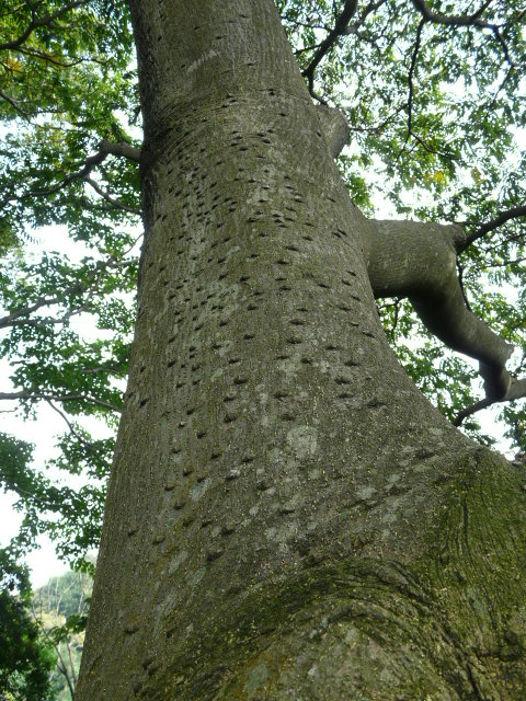e0145782_15372927.jpg