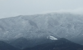 f0068511_1533847.jpg
