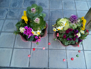 c0137720_23282587.jpg