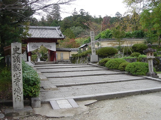 f0000521_6315638.jpg