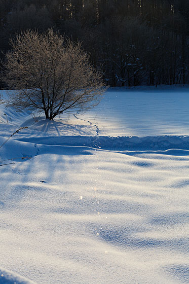 e0025030_7284776.jpg