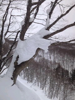 f0118332_11181951.jpg