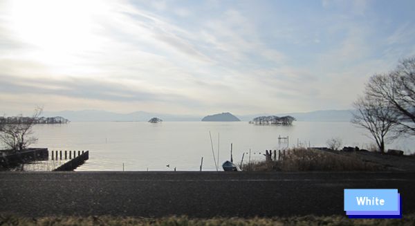 c0227134_1557931.jpg