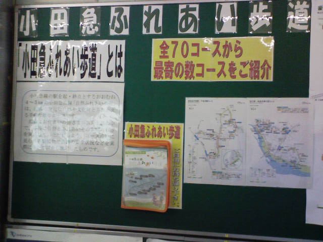 e0089438_785190.jpg