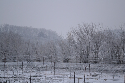 e0228938_2029769.jpg