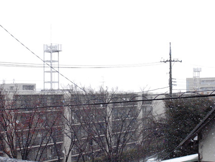 d0207540_198291.jpg