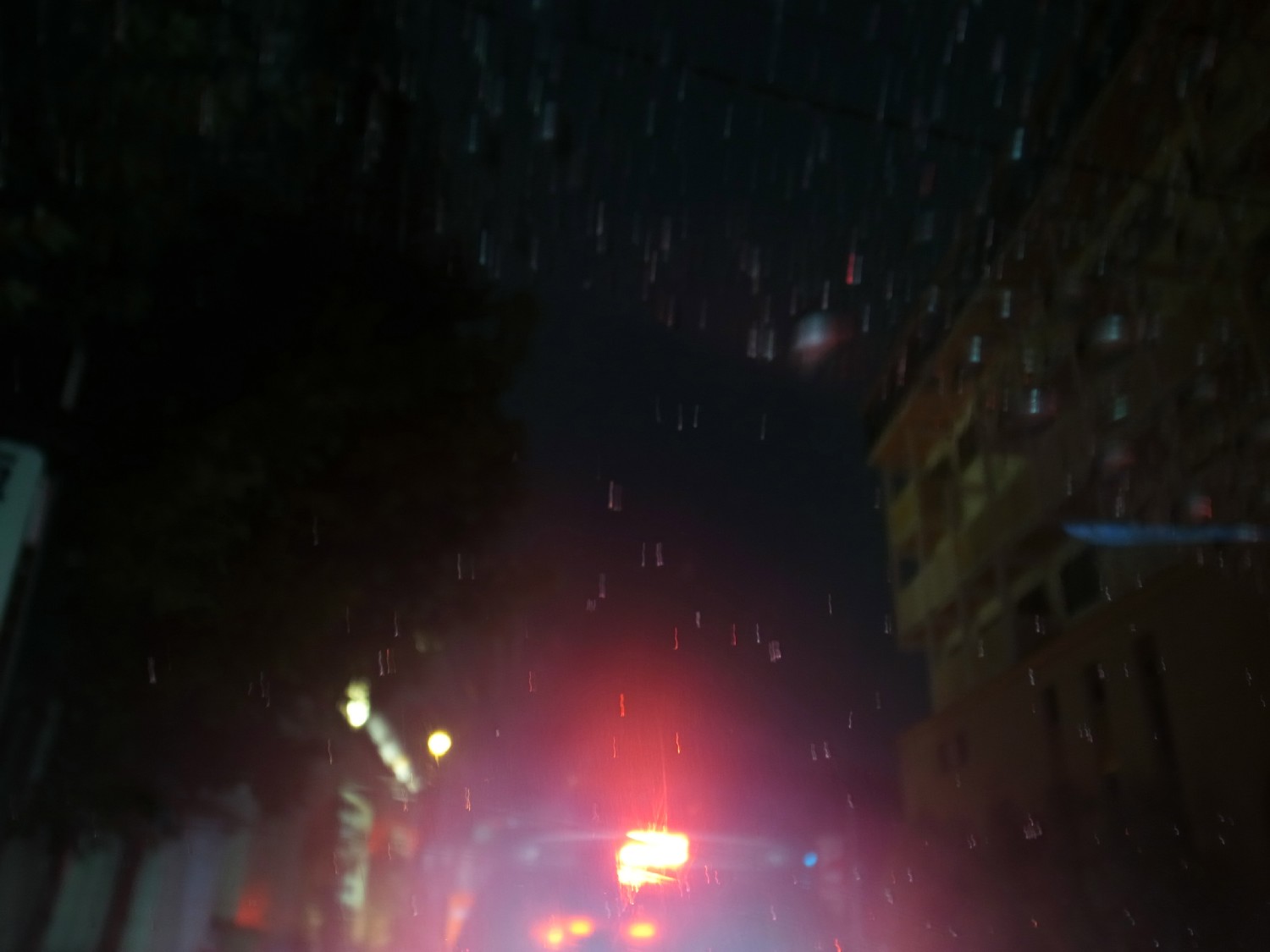e0009147_19563922.jpg