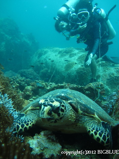e0027447_174897.jpg