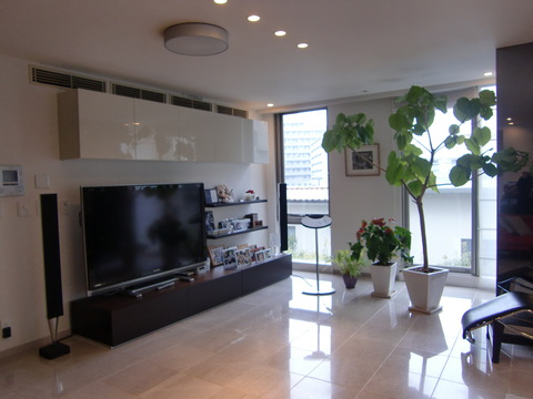 c0206352_22521376.jpg