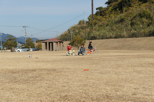 d0146153_17243293.jpg