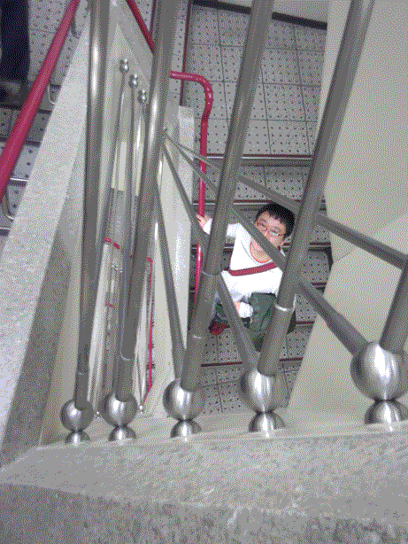 a0031761_17444888.gif