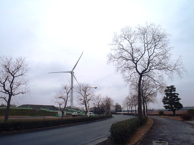 b0044663_23293298.jpg