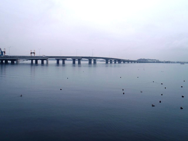 b0044663_23314199.jpg