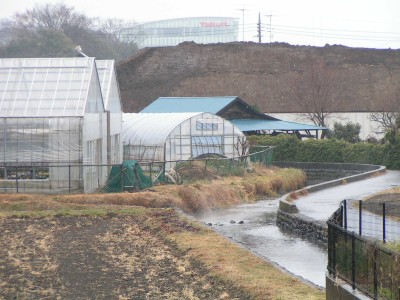 c0112172_9173634.jpg