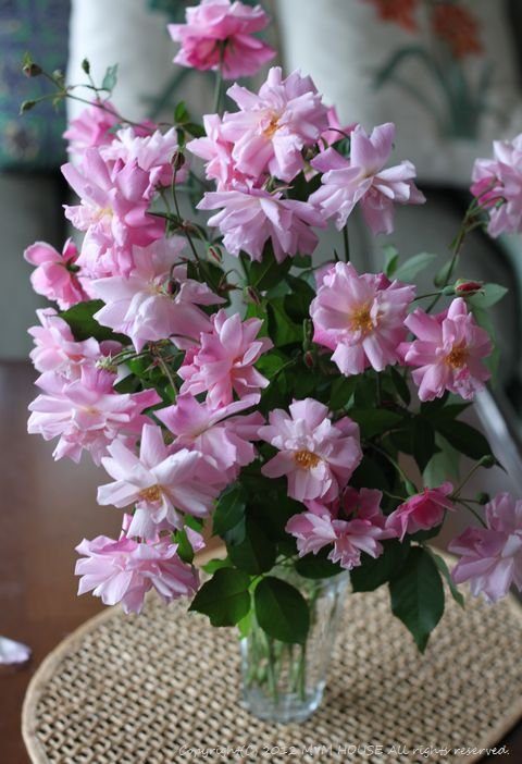 c0139375_1624419.jpg