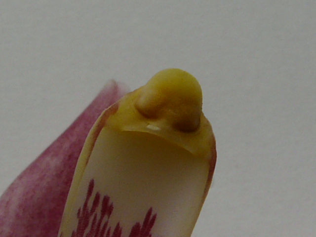 e0145782_18365965.jpg