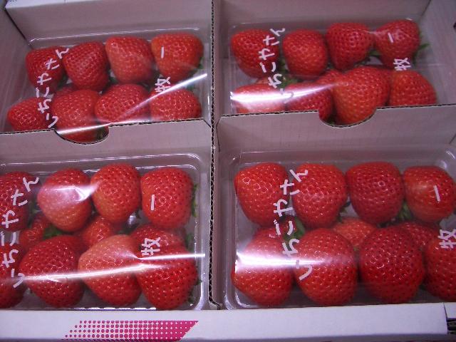 c0212283_1746319.jpg