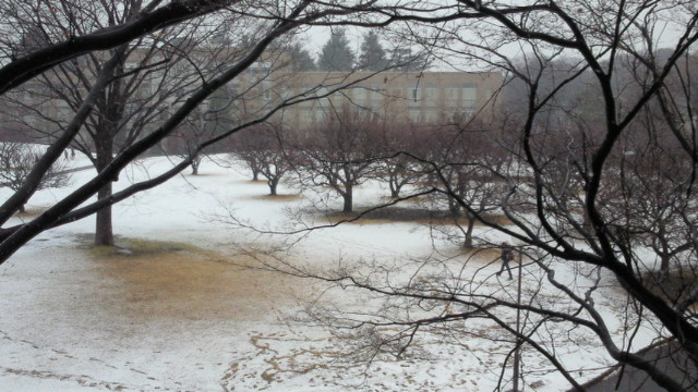 c0188084_235513100.jpg