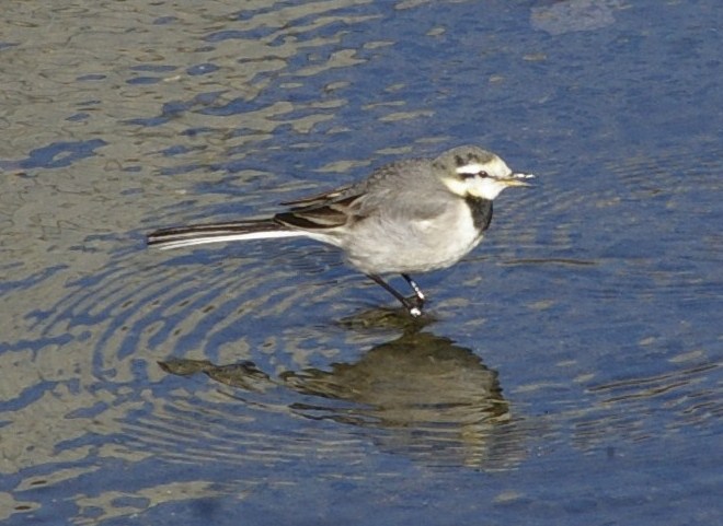 e0197884_03424.jpg
