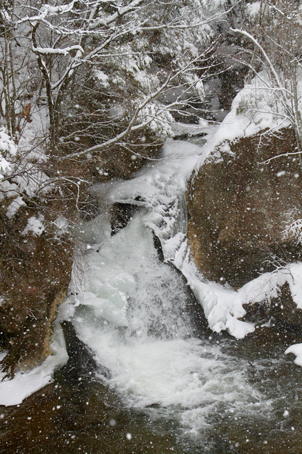 c0096393_2243539.jpg