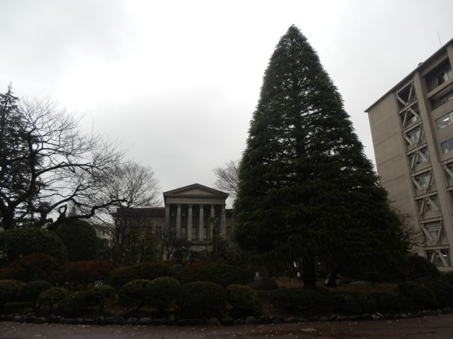 f0130894_21191244.jpg