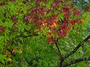 b0236895_17542997.jpg