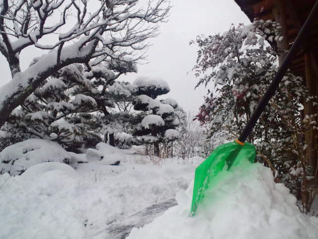 a0199297_13124060.jpg