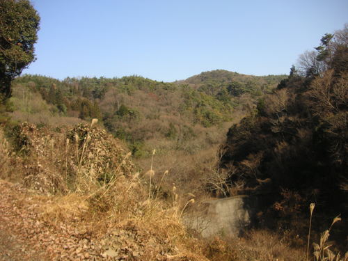 d0115997_2224442.jpg