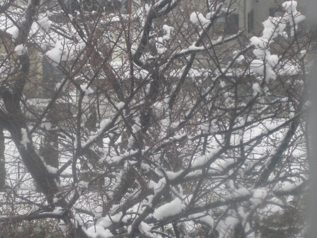 f0236201_14251597.jpg